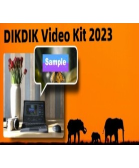 DIKDIK Video Kit 2023 Steam Key GLOBAL